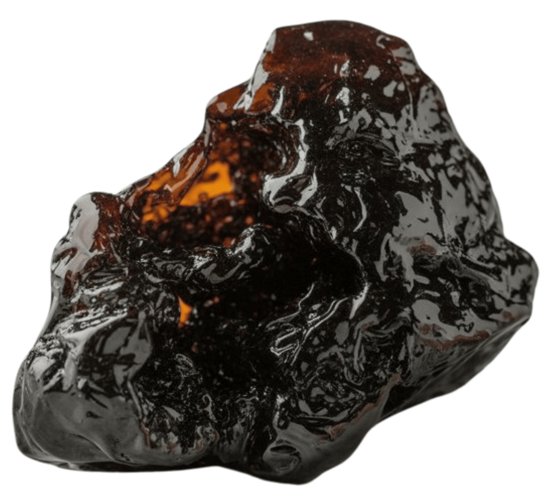 Premium Moringa Extract Capsules