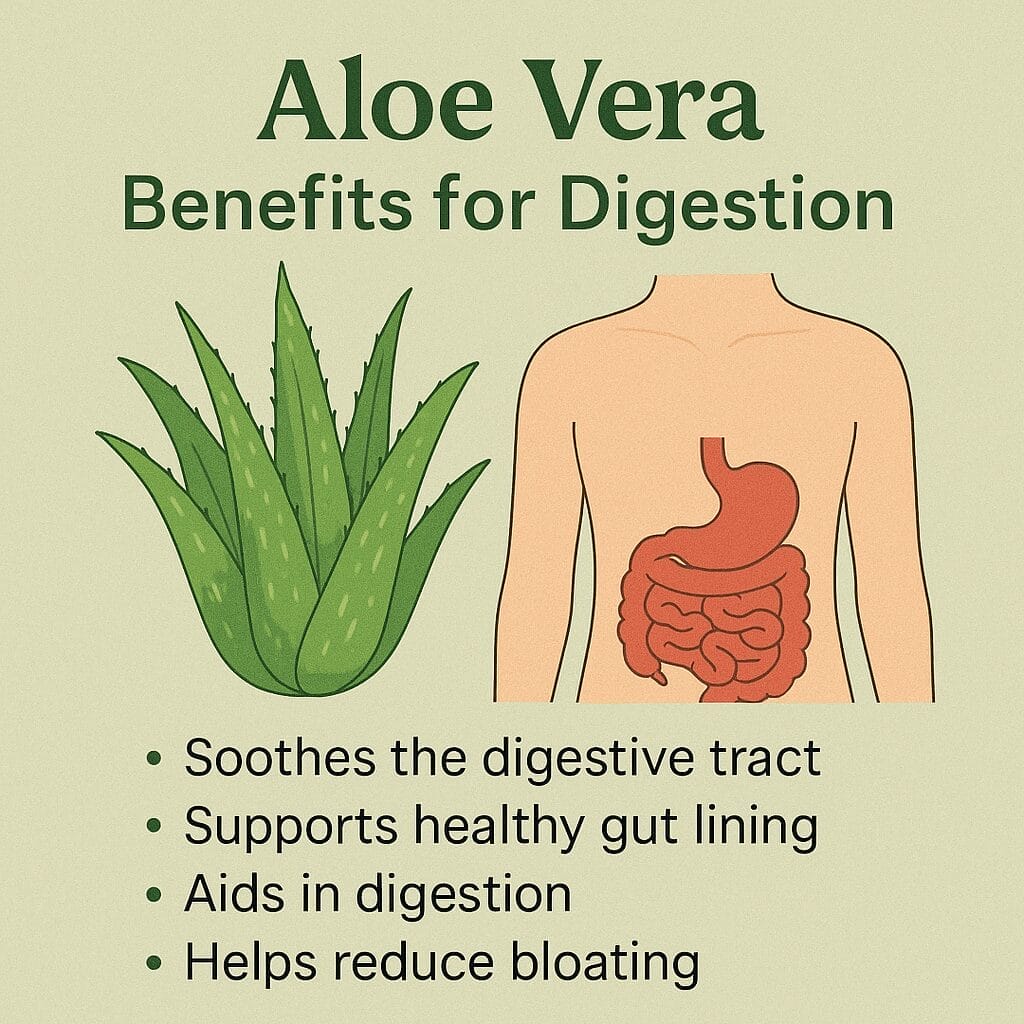 Aloe vera capsules for digestion