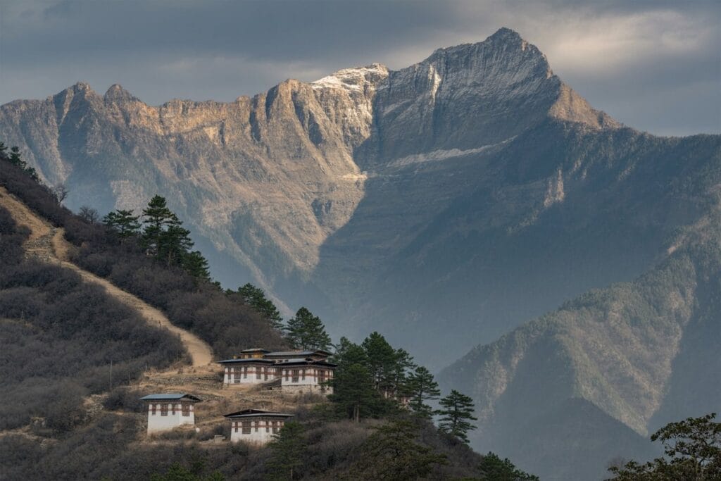 bhutanese shilajit